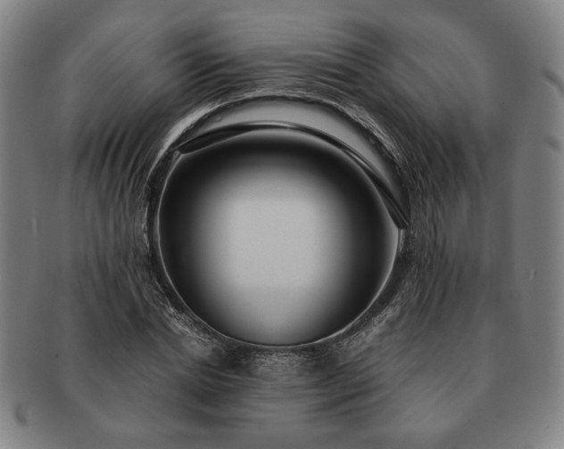 X0000091480830200708231358