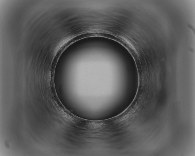 X0000091480831200708231358