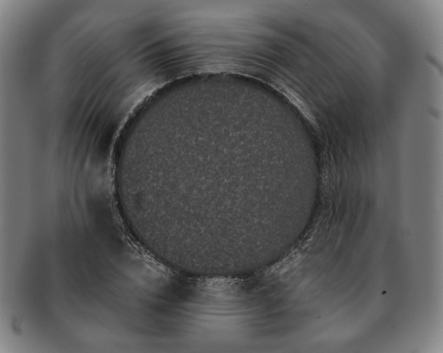 X0000091480832200708231358