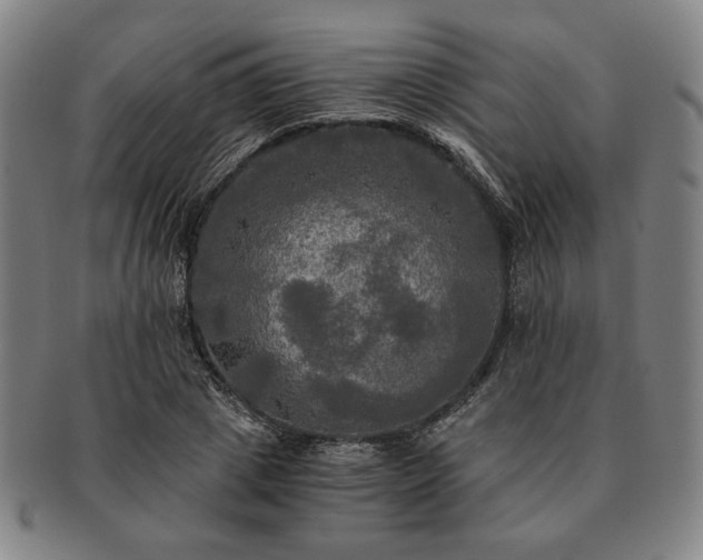 X0000091480833200708231358