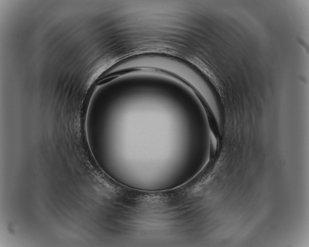 X0000091480834200708231358