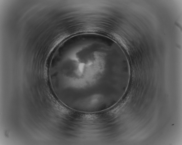 X0000091480835200708231358