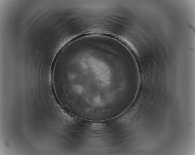 X0000091480839200708231358