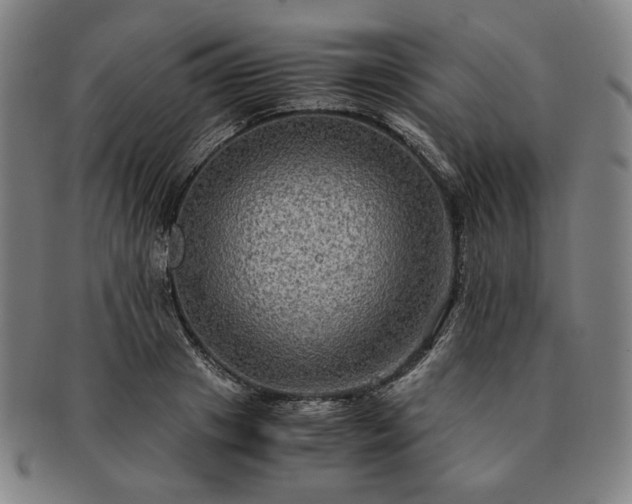 X0000091480841200708231359