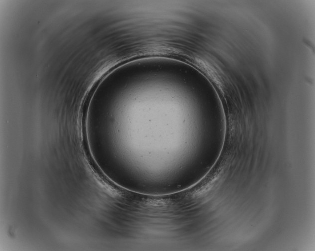 X0000091480843200708231359