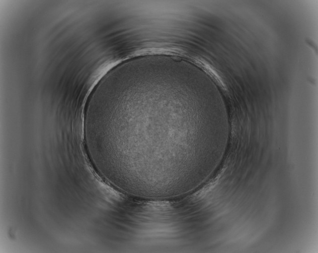 X0000091480844200708231359