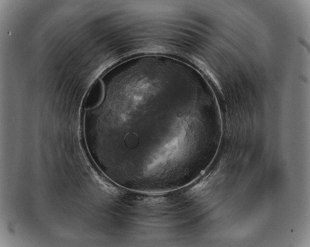 X0000091480845200708231359