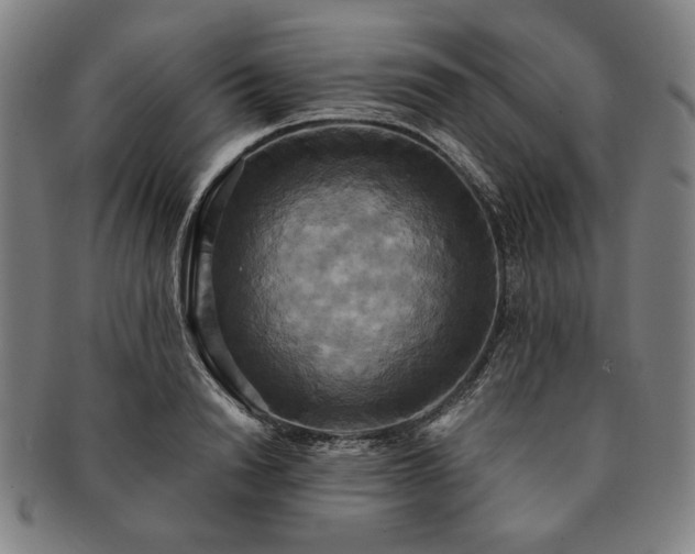 X0000091480846200708231359