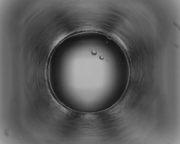 X0000091480847200708231359