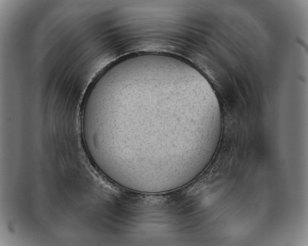 X0000091480848200708231359