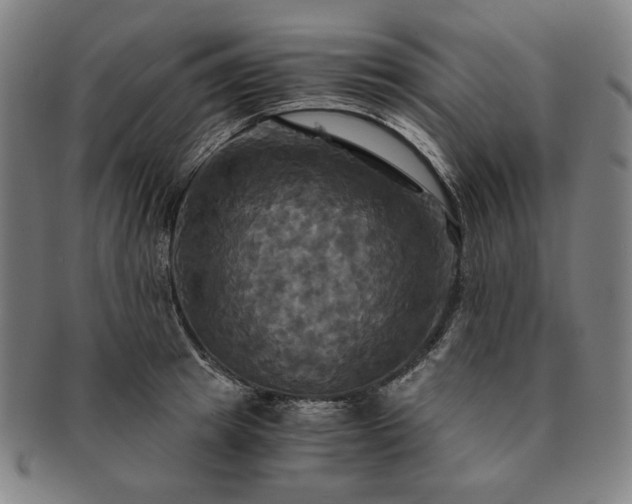 X0000091480849200708231359