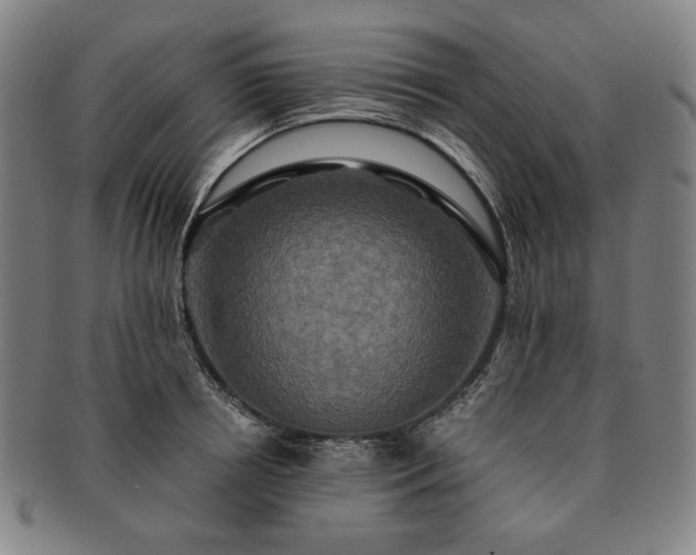 X0000091480850200708231359