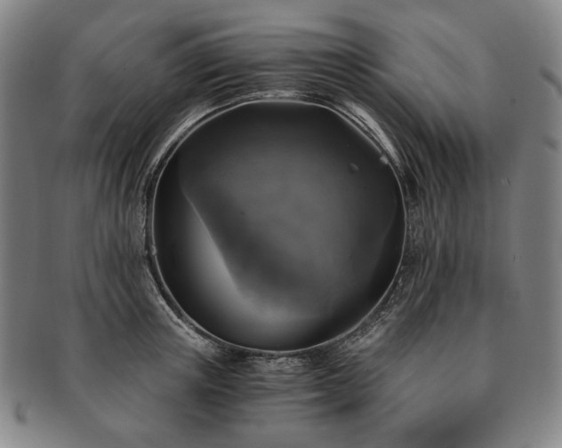 X0000091480851200708231359