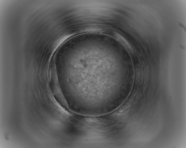 X0000091480852200708231359