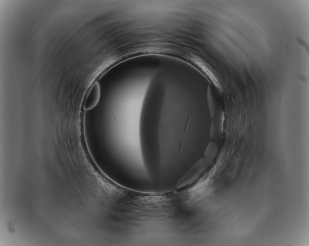 X0000091480853200708231359