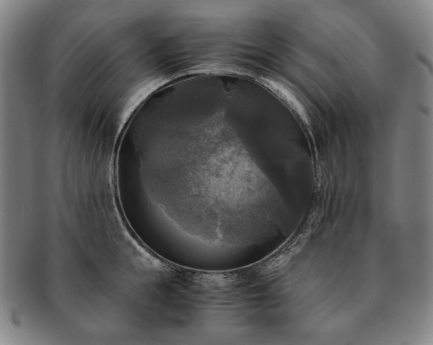 X0000091480855200708231359