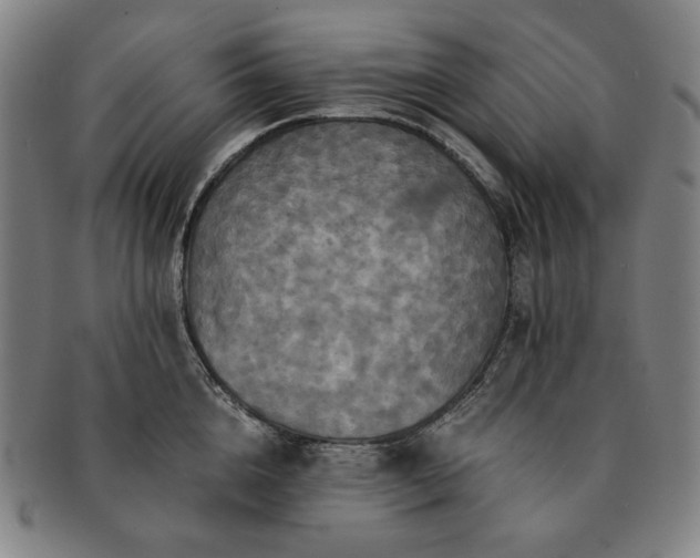 X0000091480856200708231359