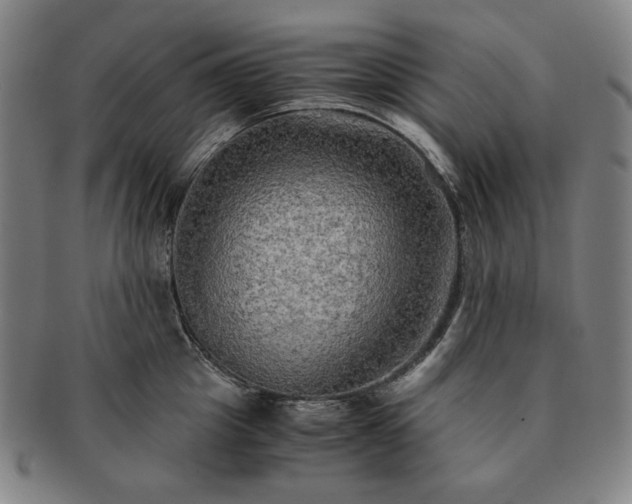 X0000091480857200708231359