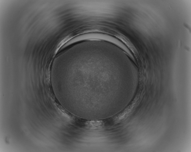 X0000091480858200708231359