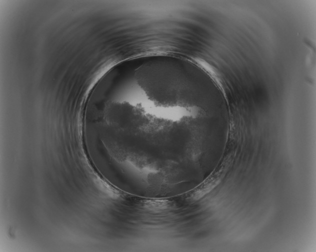 X0000091480859200708231359