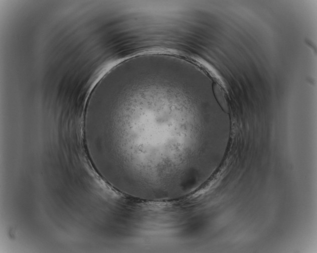 X0000091480860200708231359