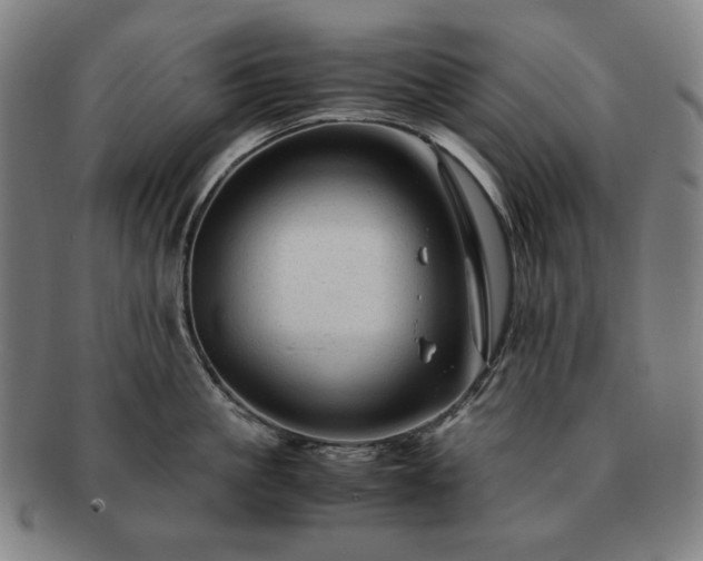 X0000091480861200708231359