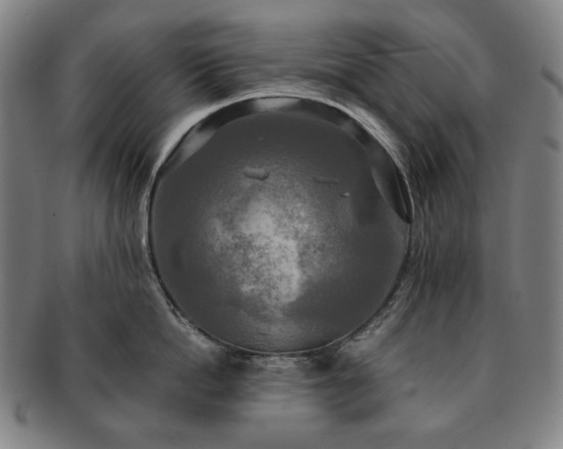 X0000091480862200708231359