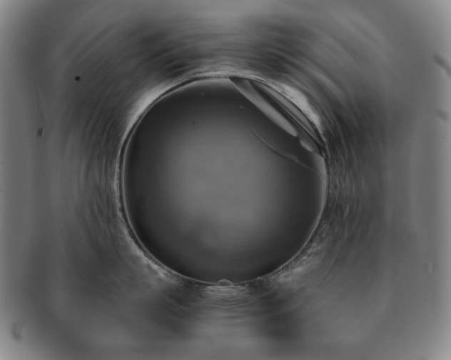 X0000091480863200708231359