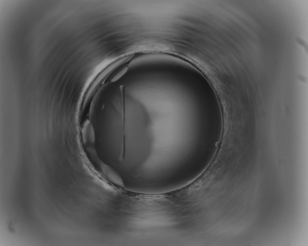 X0000091480864200708231359