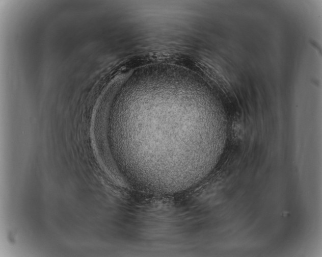 X0000091480865200708231358