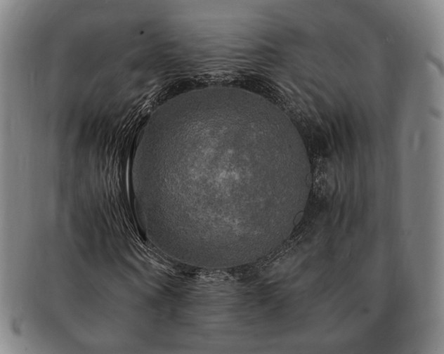 X0000091480866200708231358