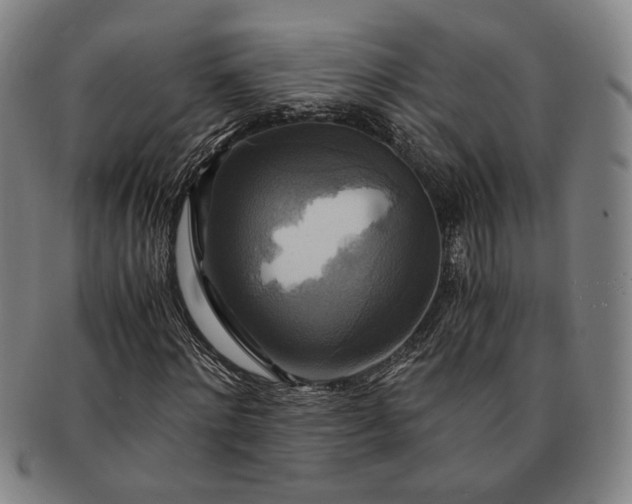 X0000091480868200708231358