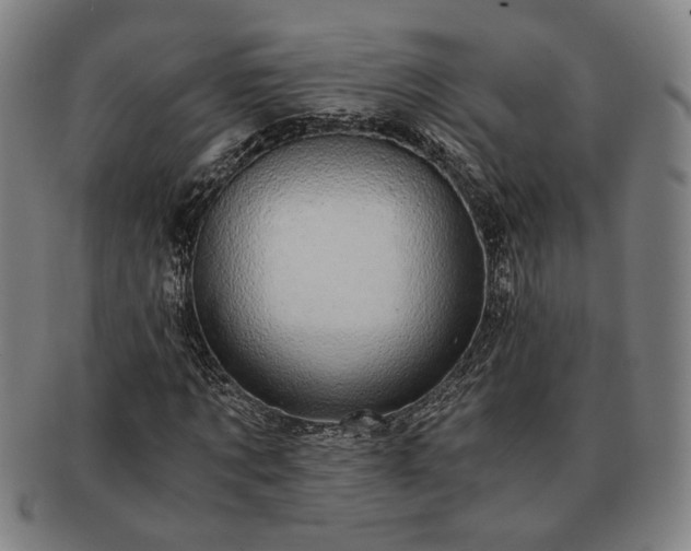 X0000091480869200708231358