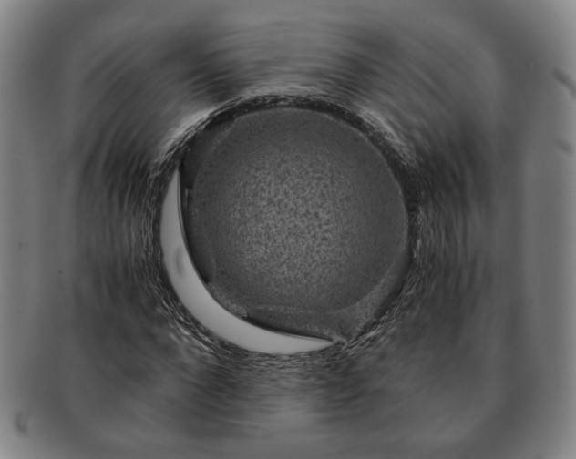 X0000091480872200708231358