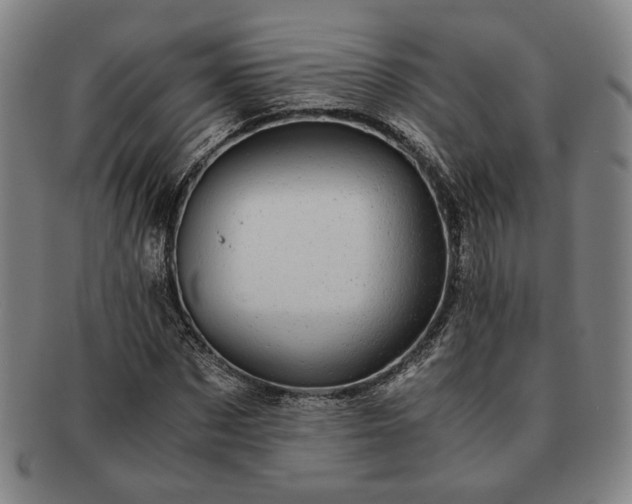 X0000091480873200708231358