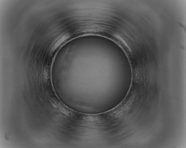 X0000091480874200708231358