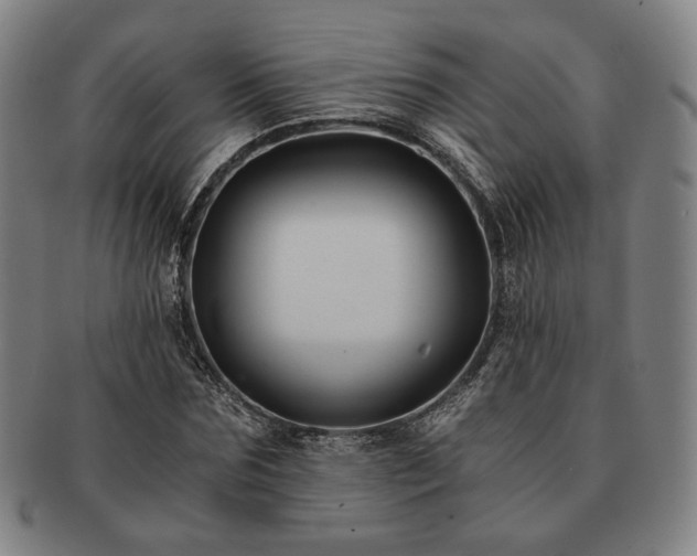 X0000091480875200708231358