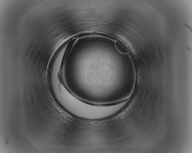 X0000091480876200708231358