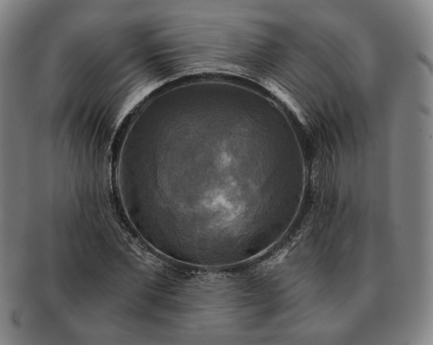 X0000091480877200708231358