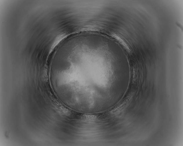 X0000091480878200708231358