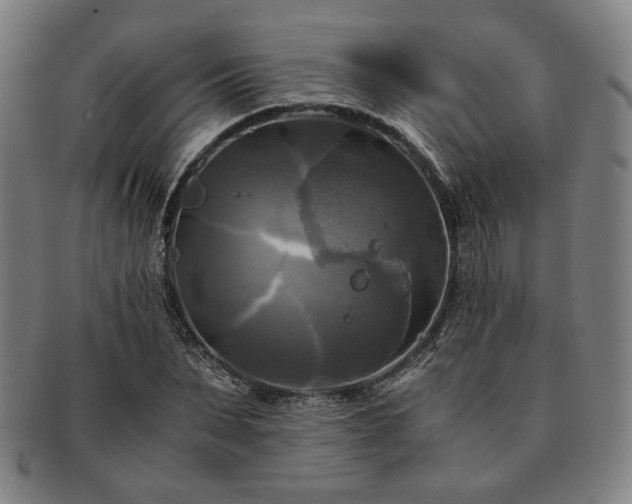 X0000091480879200708231358