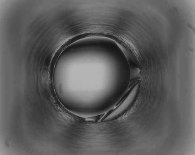 X0000091480880200708231358