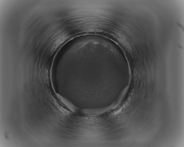 X0000091480881200708231358