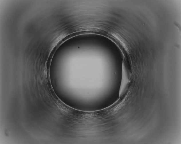 X0000091480883200708231358