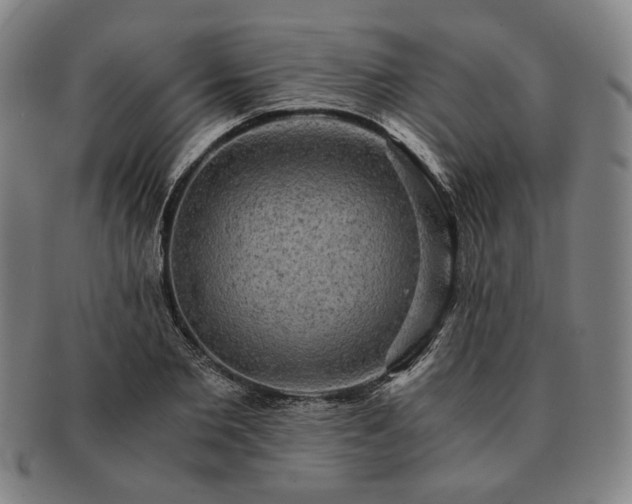 X0000091480885200708231358