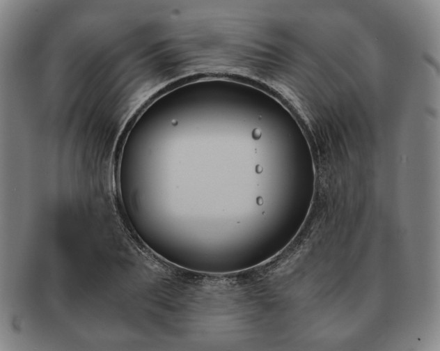 X0000091480887200708231358