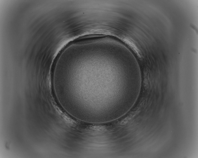 X0000091480888200708231358