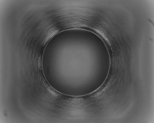 X0000091480889200708231358