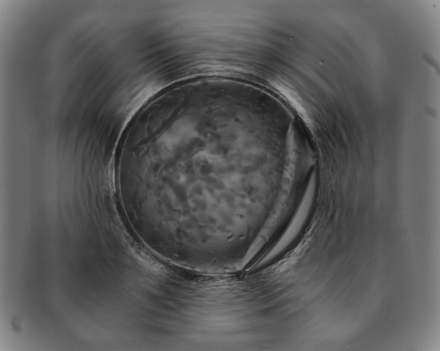 X0000091480891200708231358