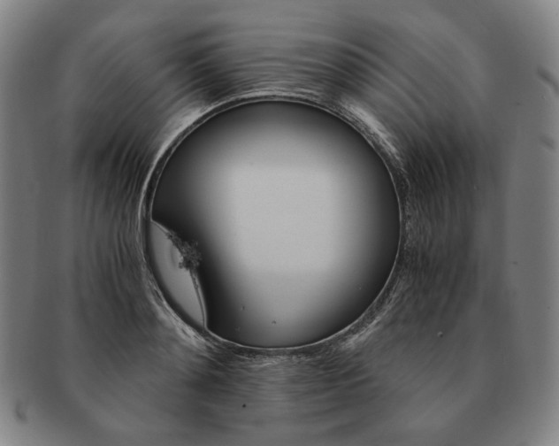 X0000091480892200708231358